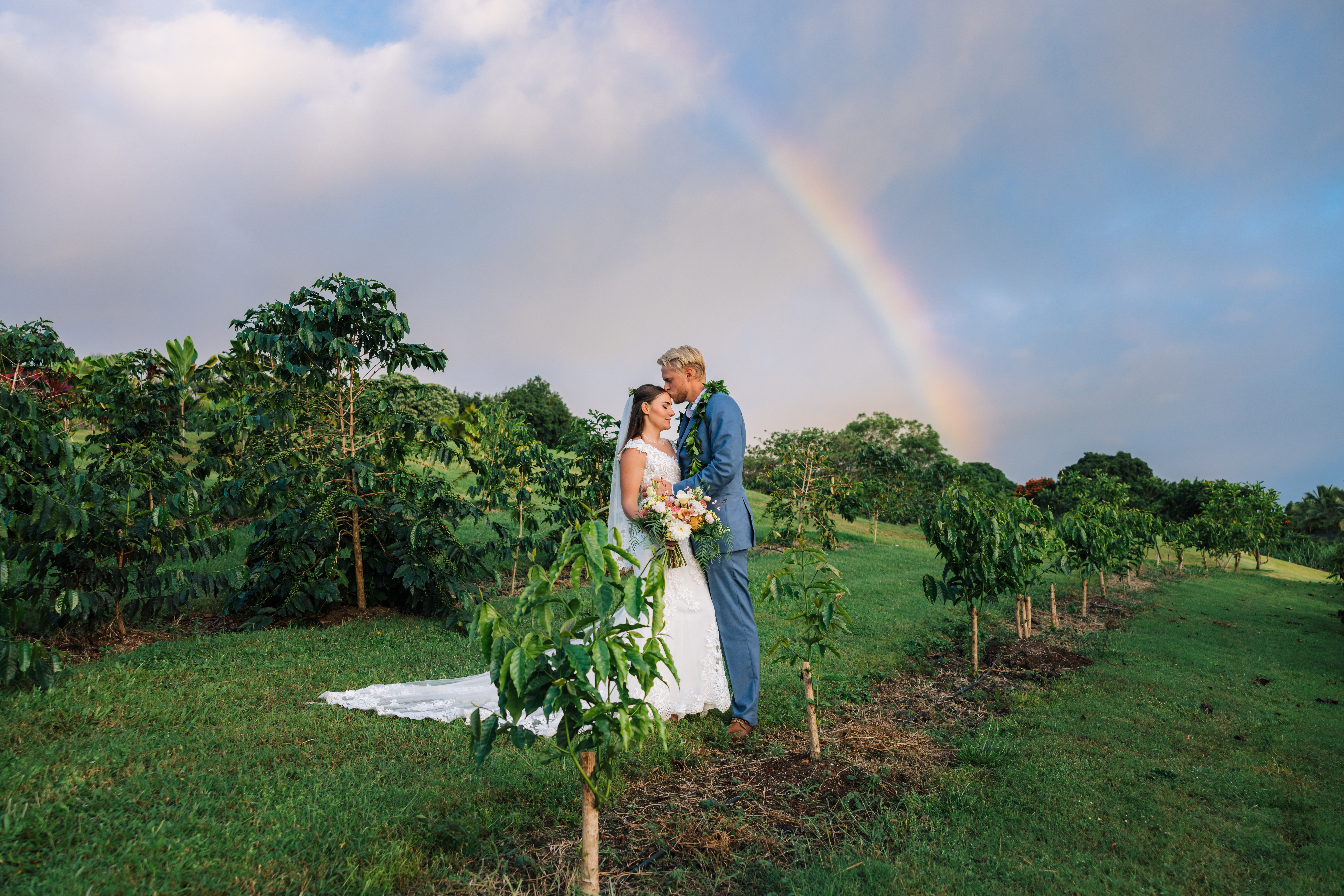 Hawaiian elopement with rainbow and coffee fields at Holualoa Inn, Big Island, Hawaii