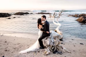 Couple on driftwood by the ocean after their Big Island wedding